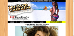 BrownBunnies Screenshot